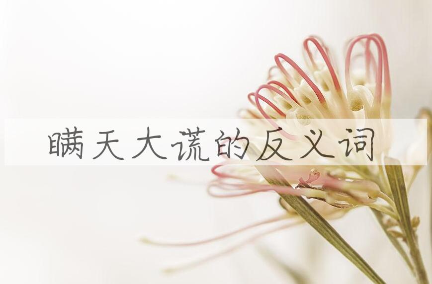用瞒天大谎造句