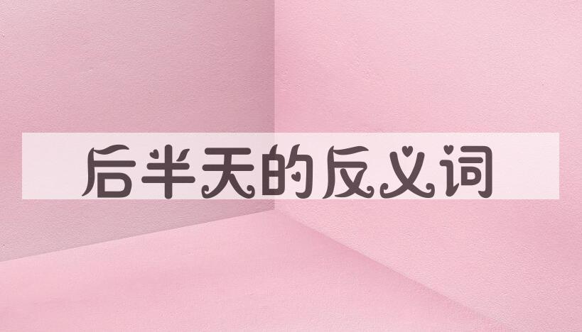 用后半天造句