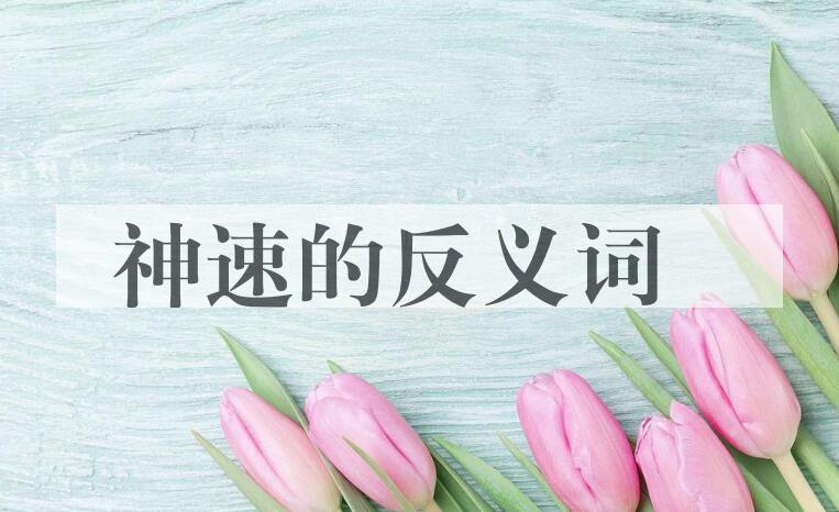 用神速造句