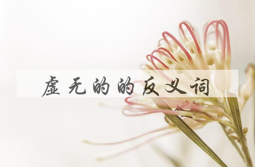 用虚无的造句