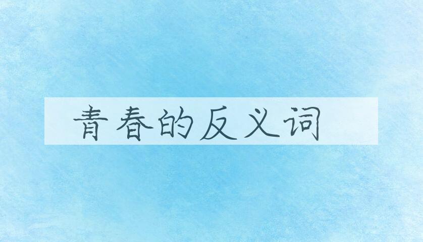用青春造句