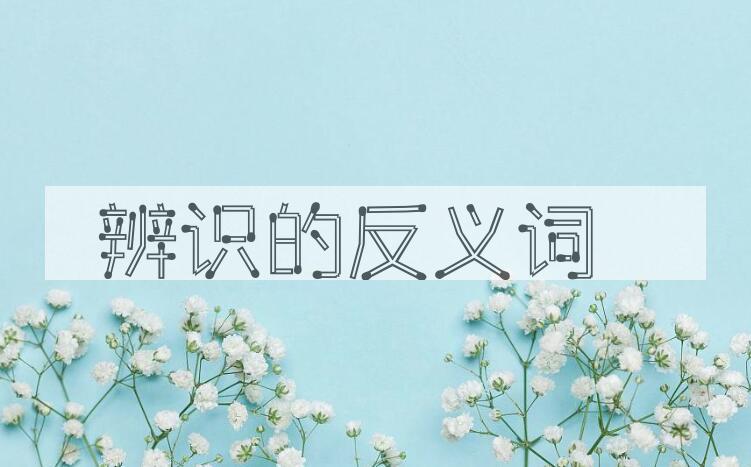 用辨识造句
