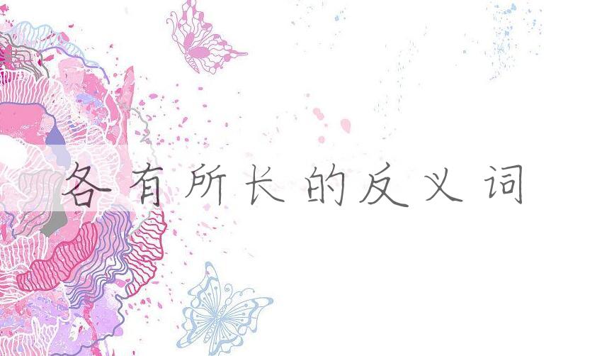 用各有所长造句