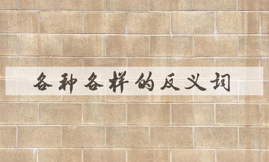 用各种各样造句
