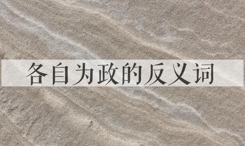用各自为政造句