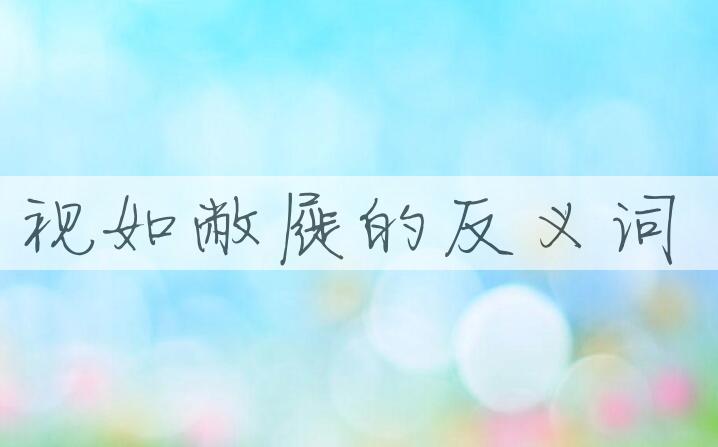 用视如敝屣造句