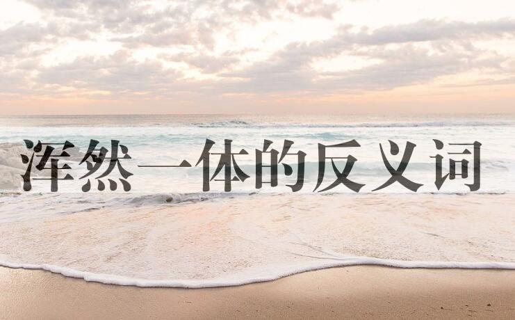 用浑然一体造句
