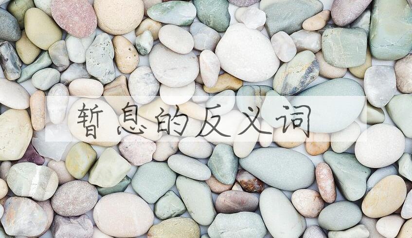 用暂息造句