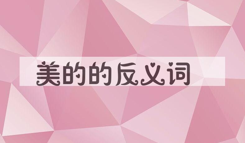 用美的造句
