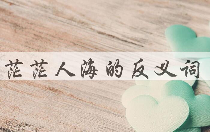 用茫茫人海造句