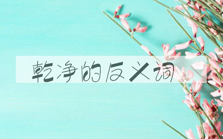用乾净造句