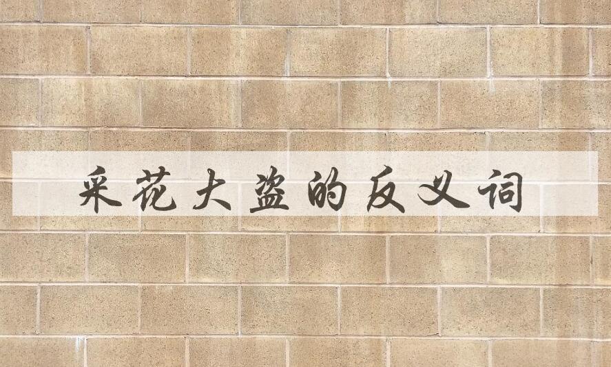 用采花大盗造句