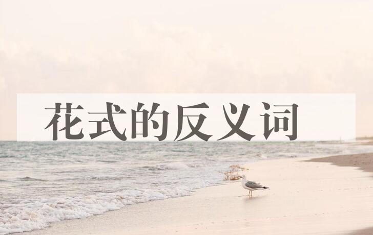 用花式造句