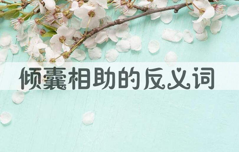 用倾囊相助造句