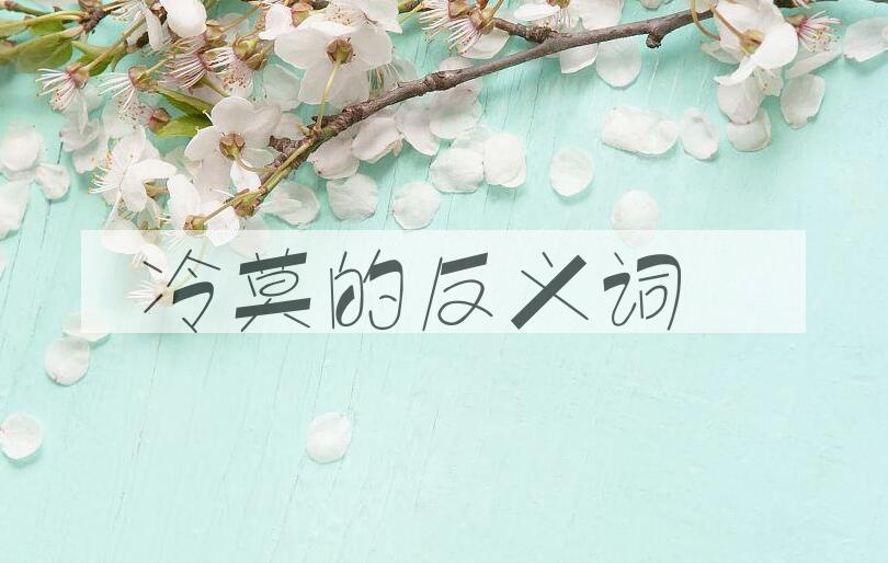 用冷莫造句