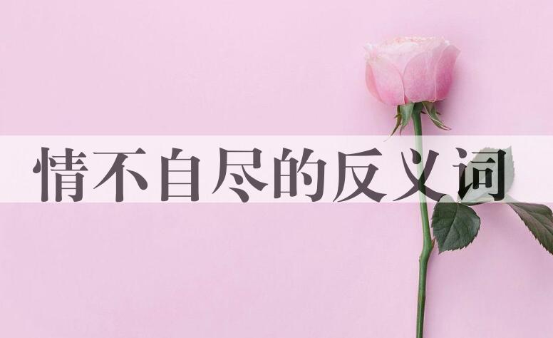 用情不自尽造句