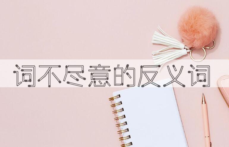 用词不尽意造句
