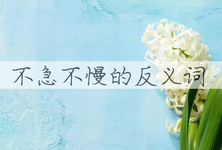 用不急不慢造句