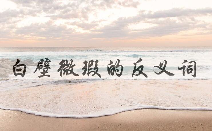 用白壁微瑕造句