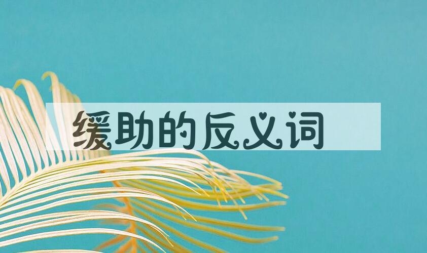 用缓助造句