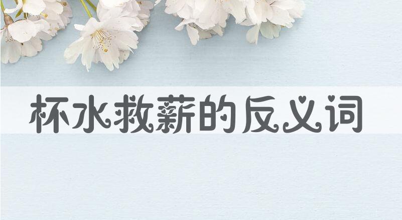 用杯水救薪造句