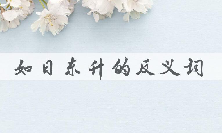 用如日东升造句