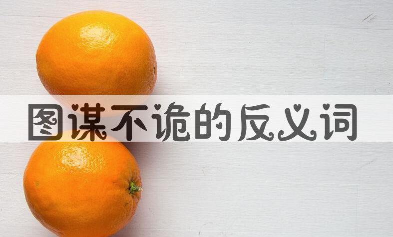 用图谋不诡造句