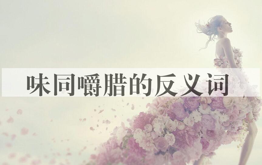 用味同嚼腊造句