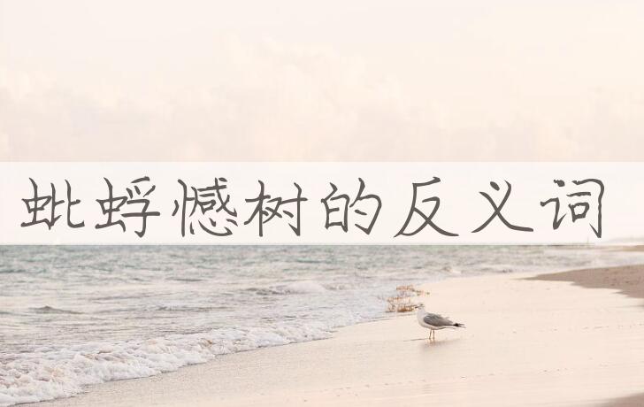 用蚍蜉憾树造句