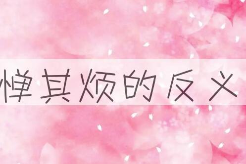 用不惮其烦造句