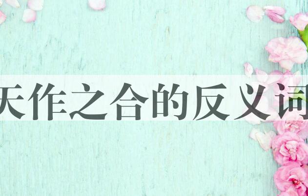 用天作之合造句