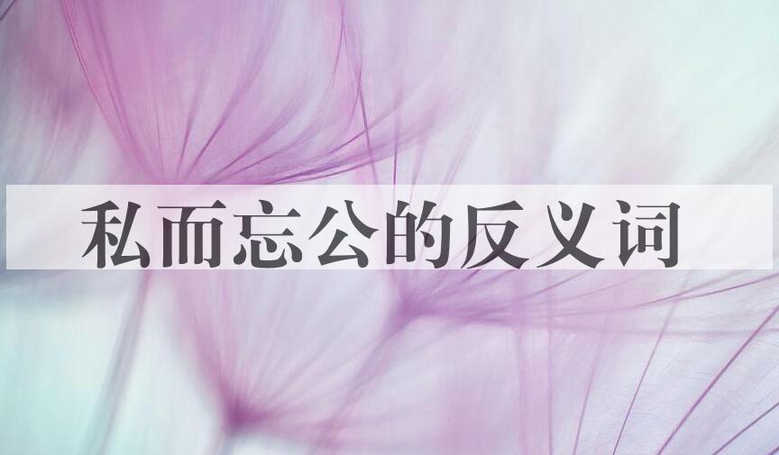 用私而忘公造句