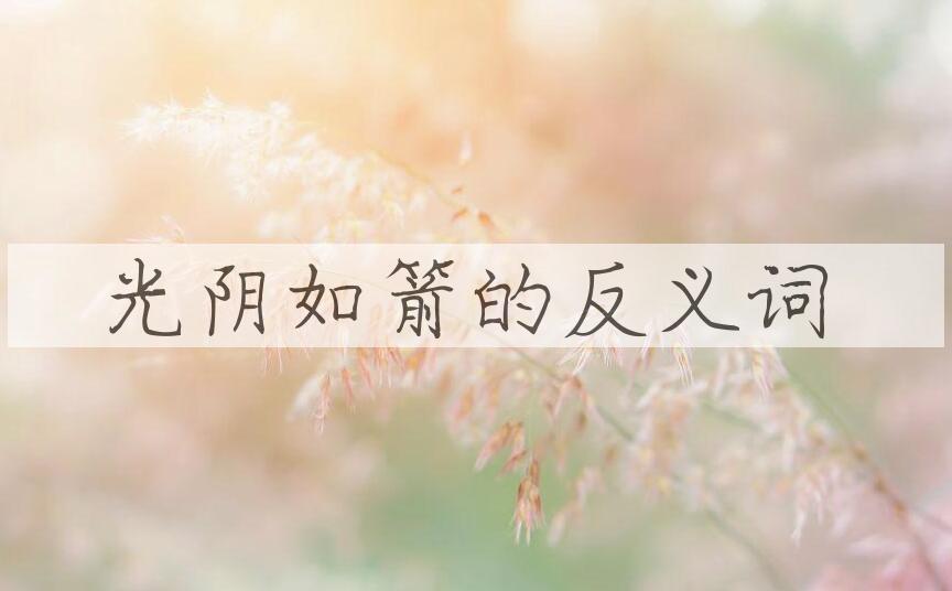 用光阴如箭造句