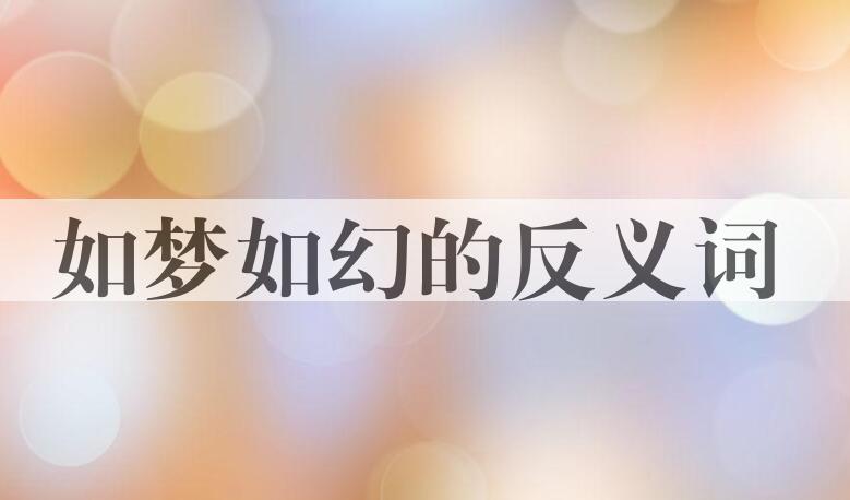 用如梦如幻造句