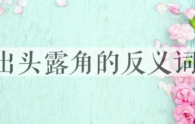 用出头露角造句