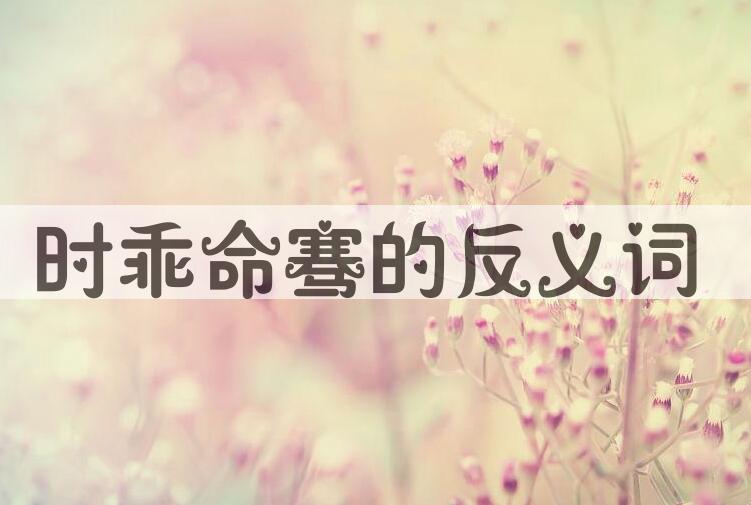 用时乖命骞造句