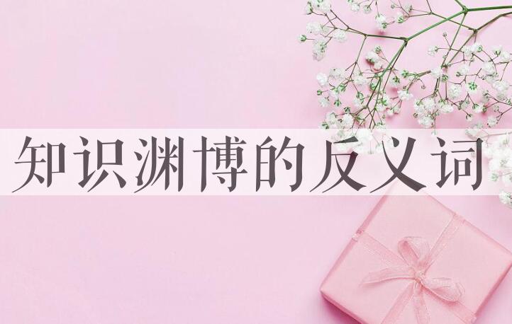 用知识渊博造句