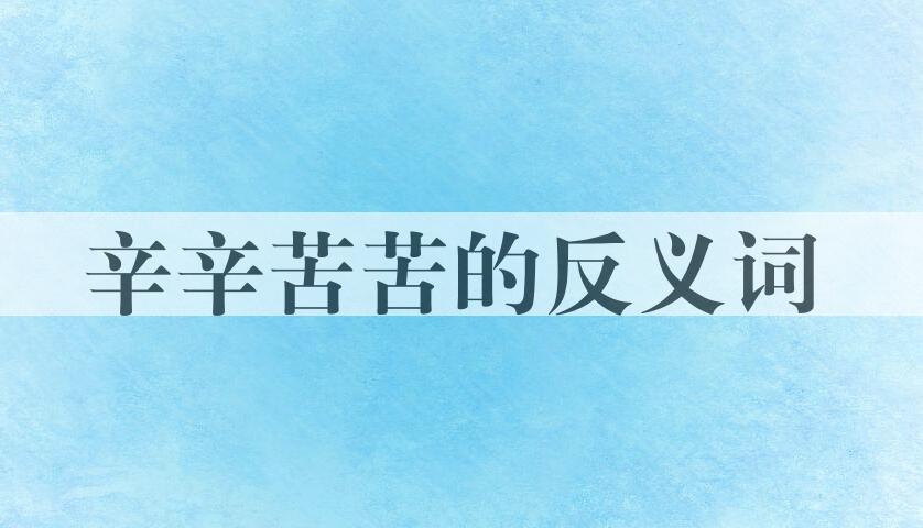 用辛辛苦苦造句