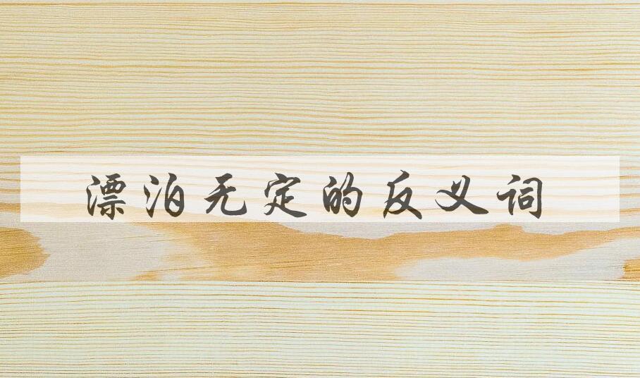 用漂泊无定造句
