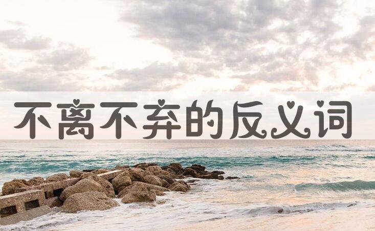 用不离不弃造句