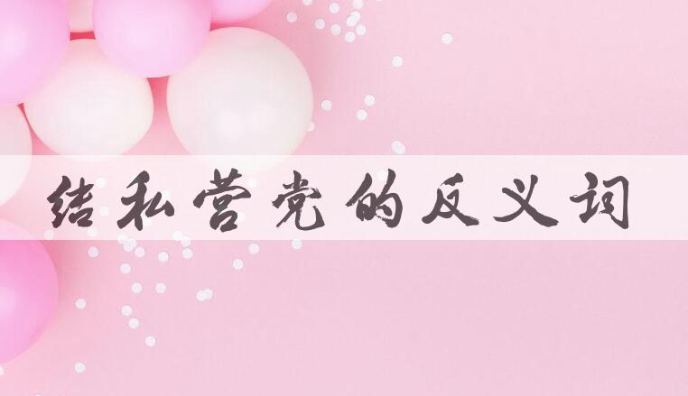 用结私营党造句