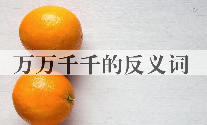 用万万千千造句