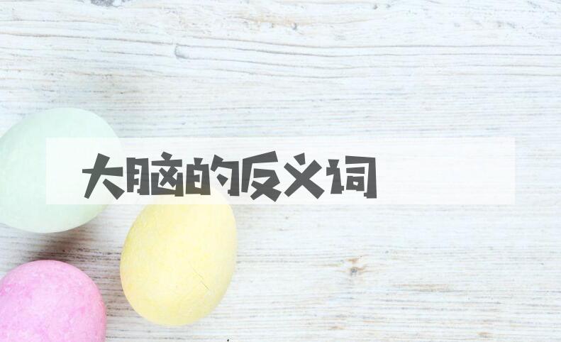 用大脑造句