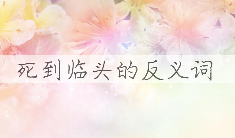 用死到临头造句