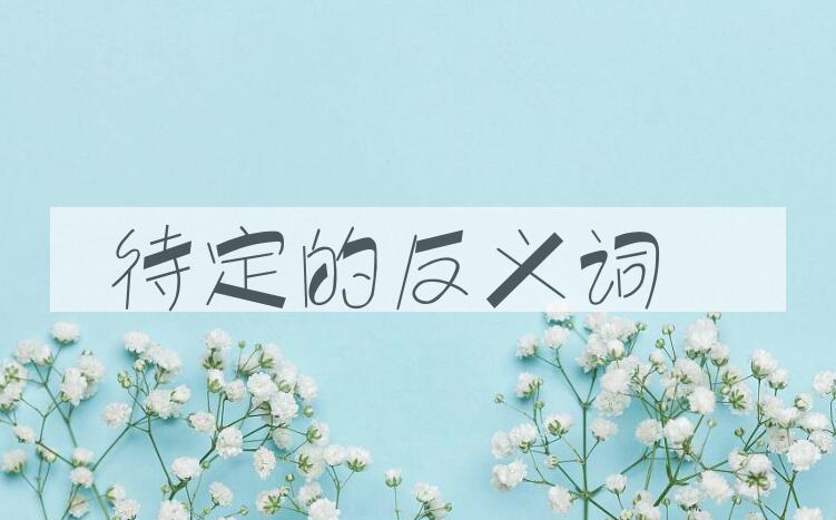 用待定造句