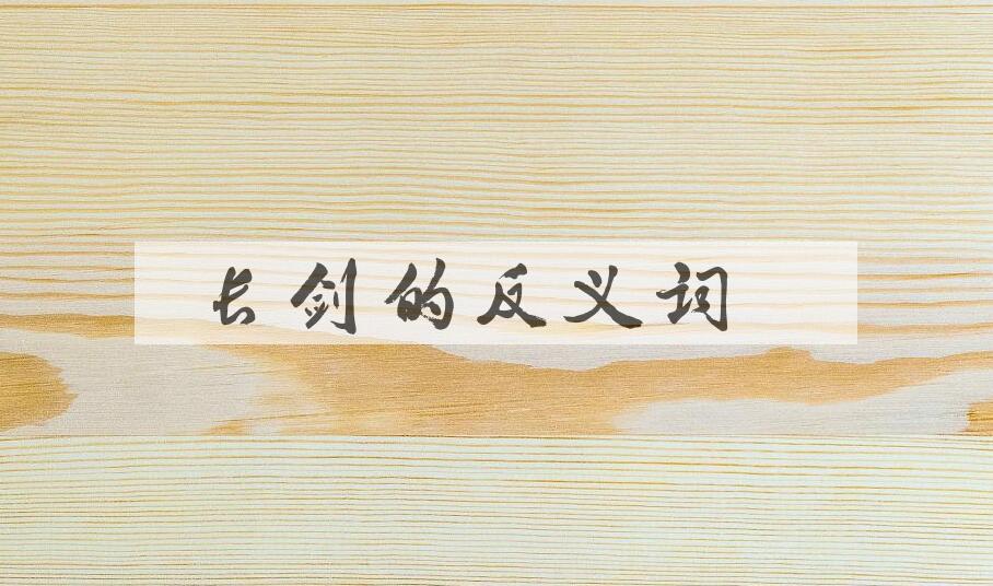 用长剑造句