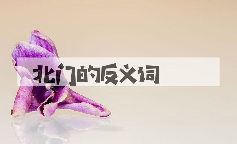 用北门造句