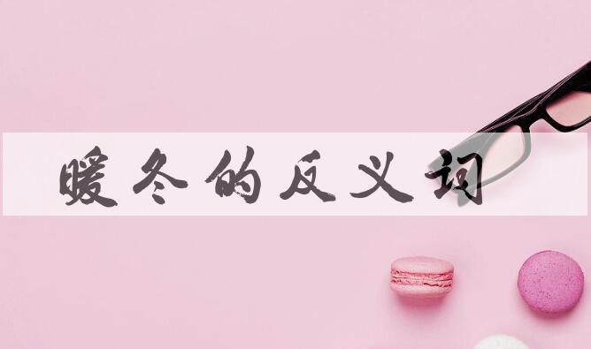 用暖冬造句