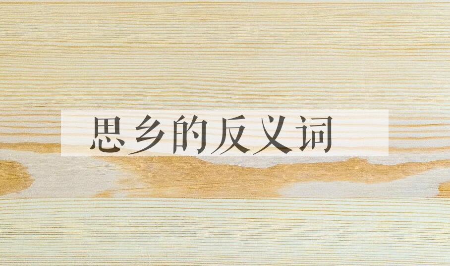 用思乡造句