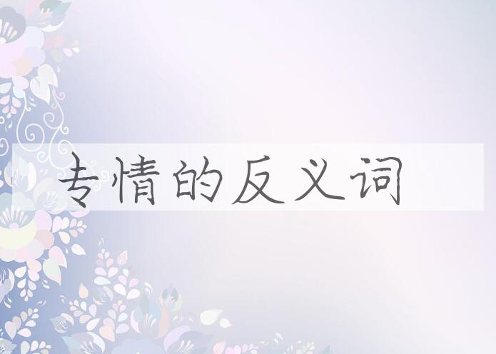 用专情造句